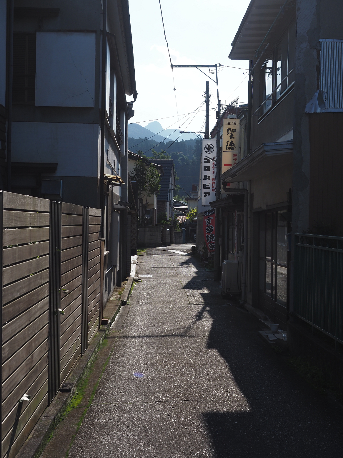P8010360.jpg
