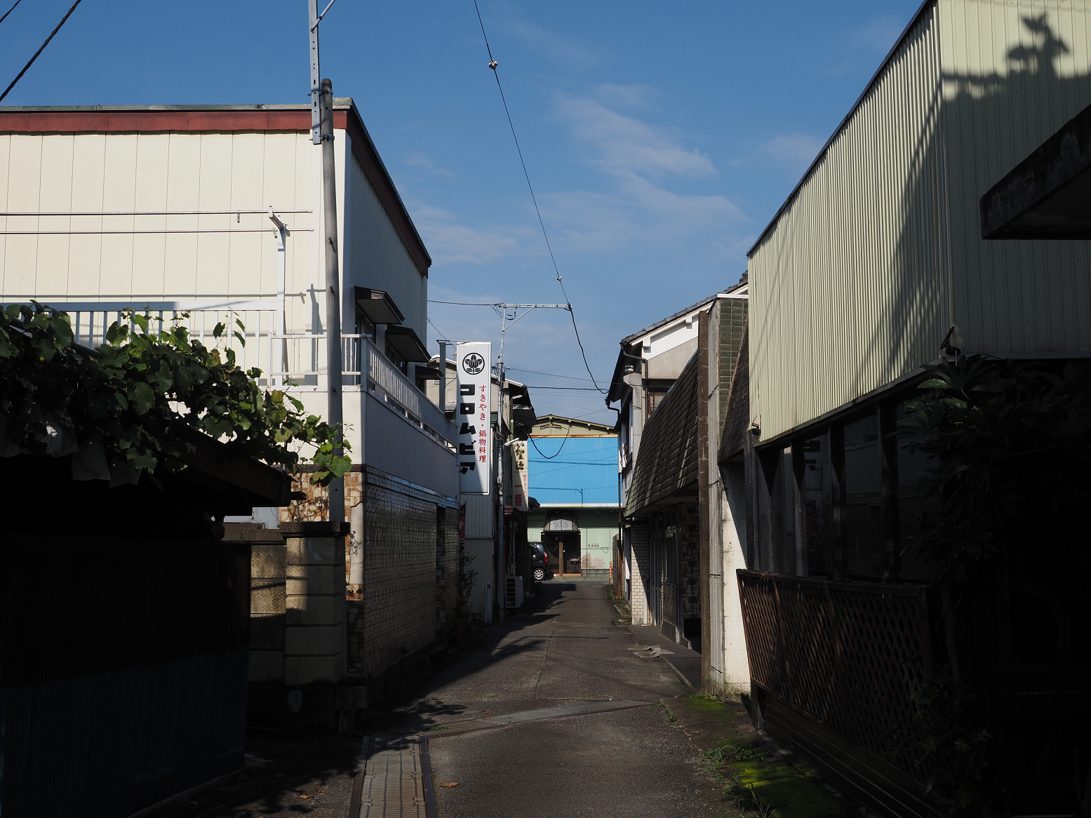 P8010364.jpg