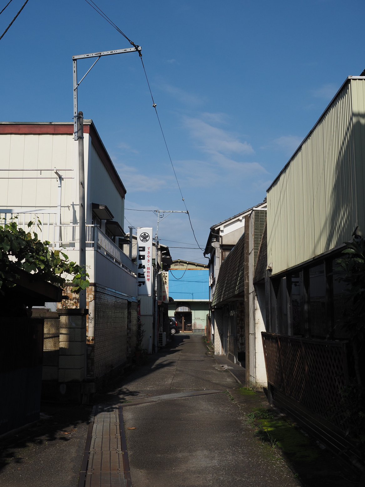 P8010365.jpg