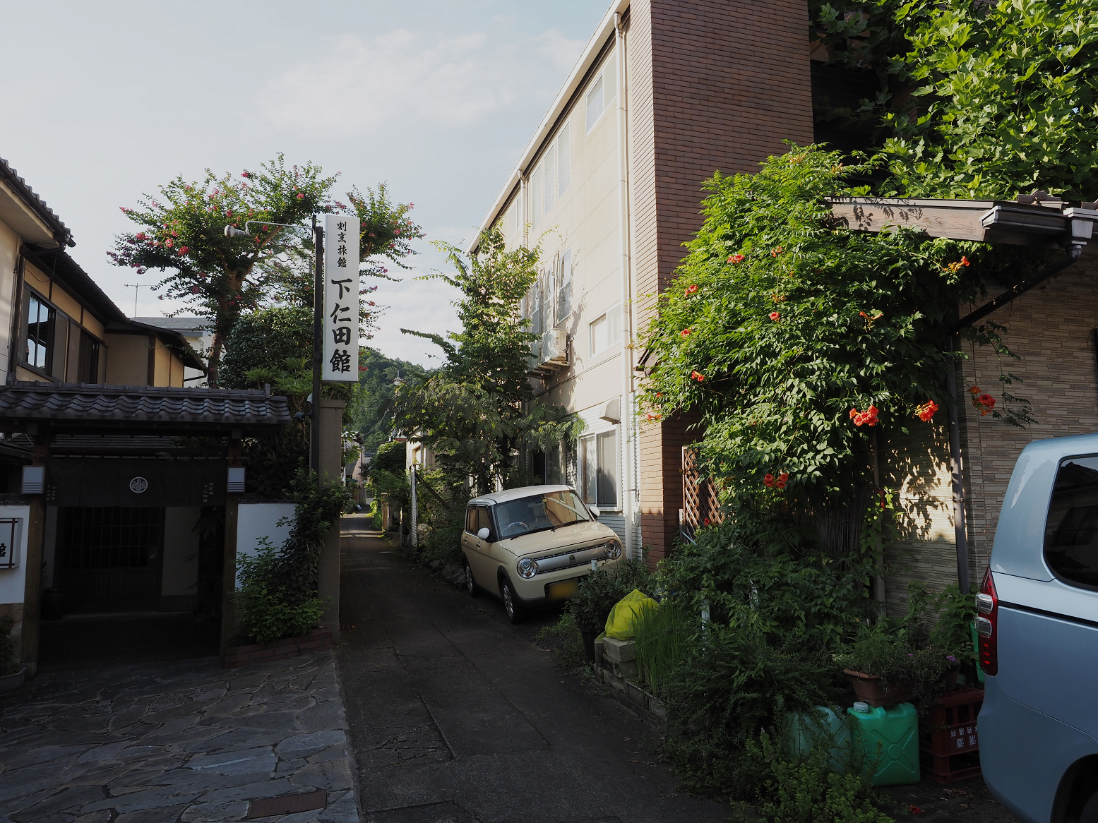 P8010366.jpg