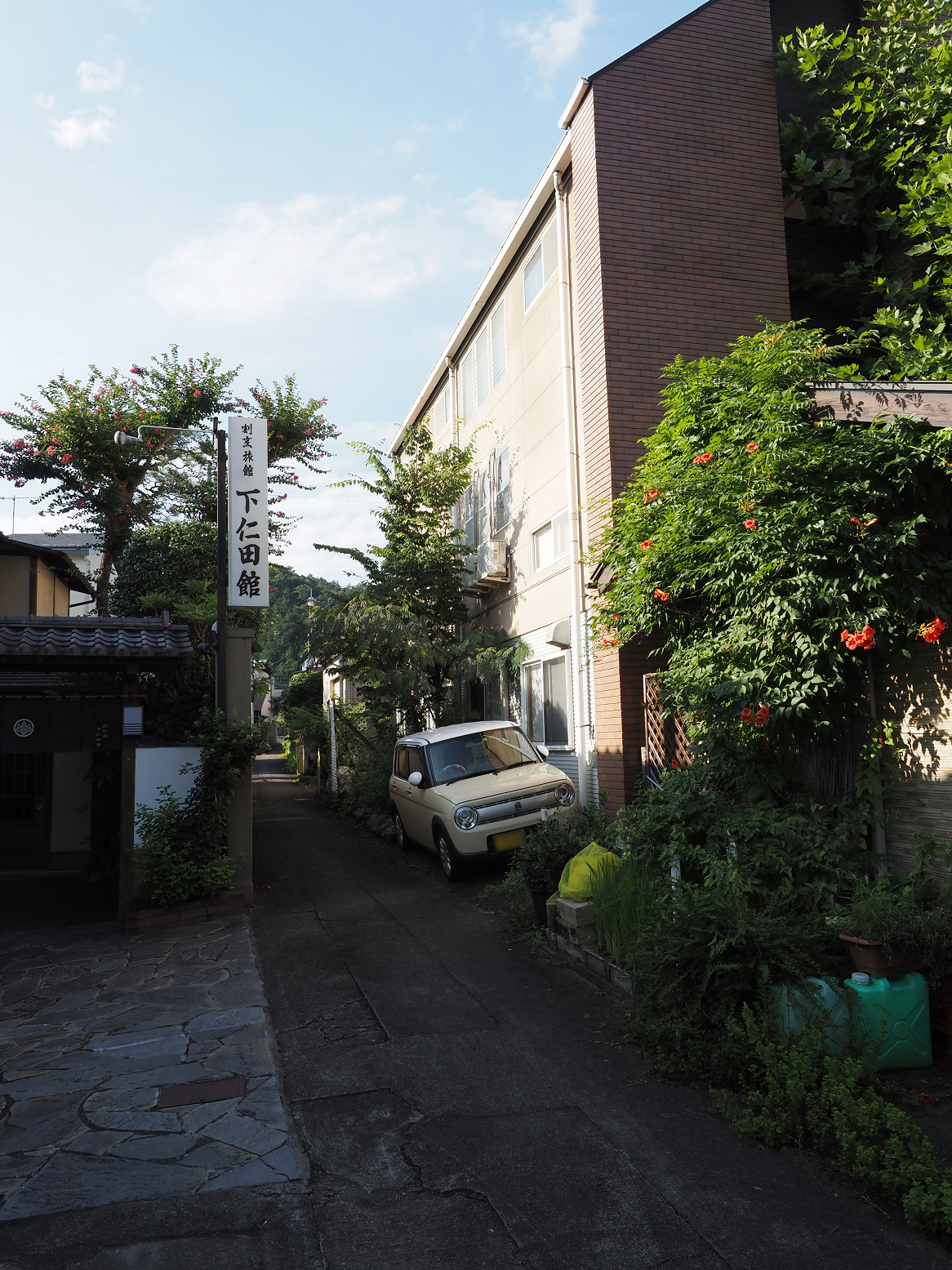 P8010367.jpg