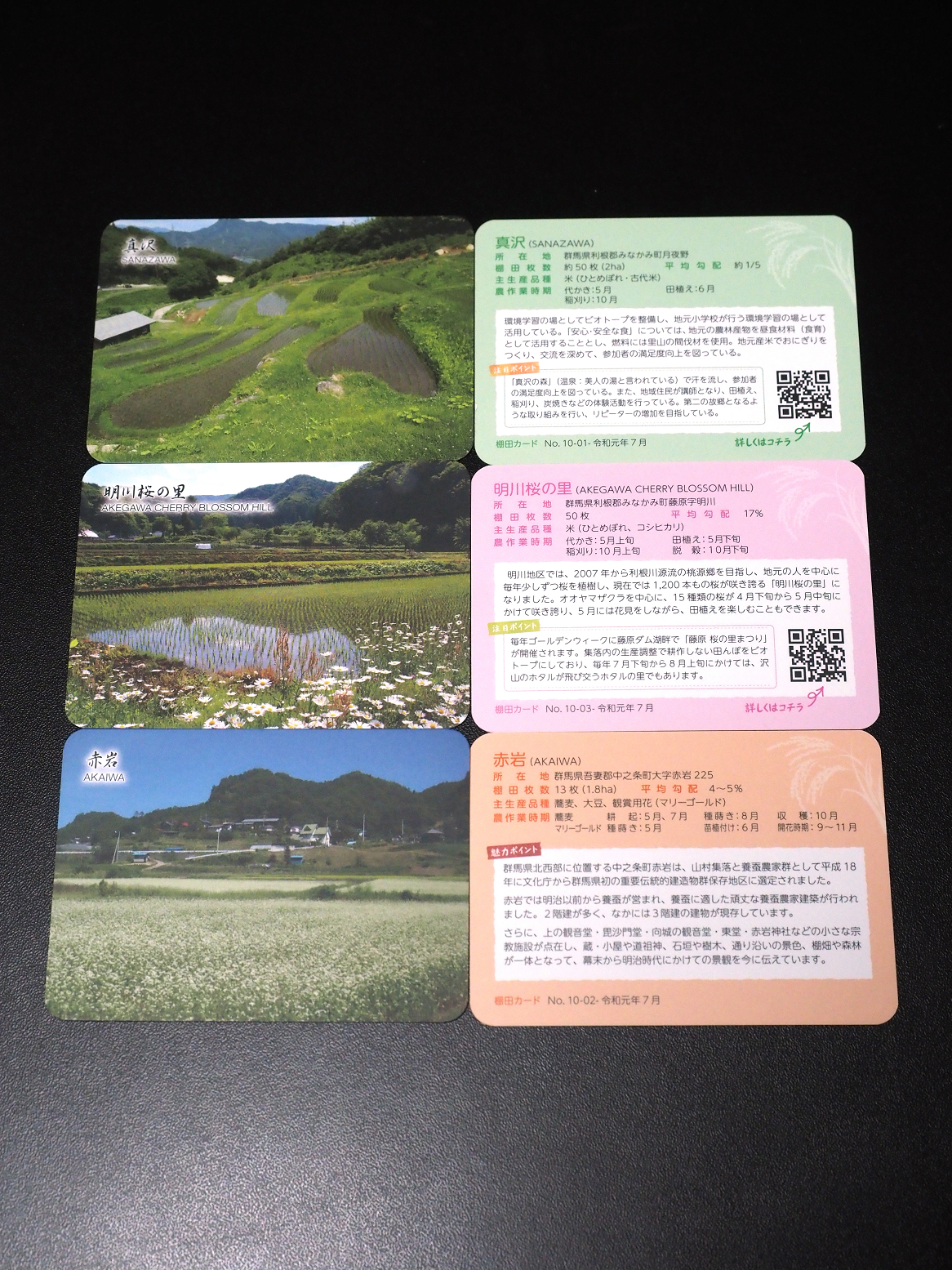 P8010376.jpg
