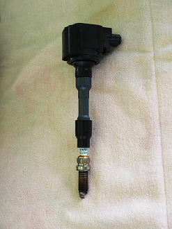 P8080133_thumb.png