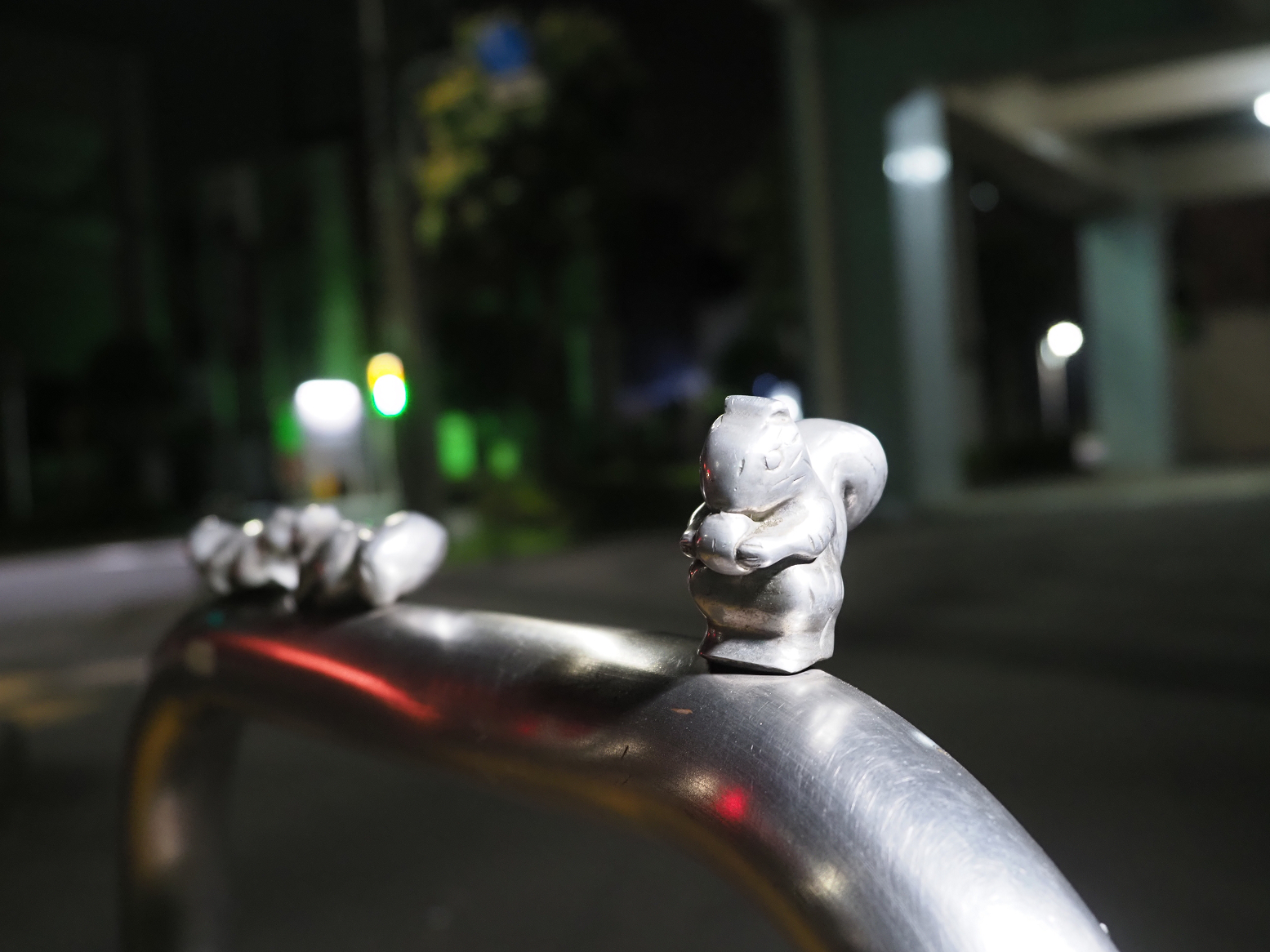 P8100281.jpg