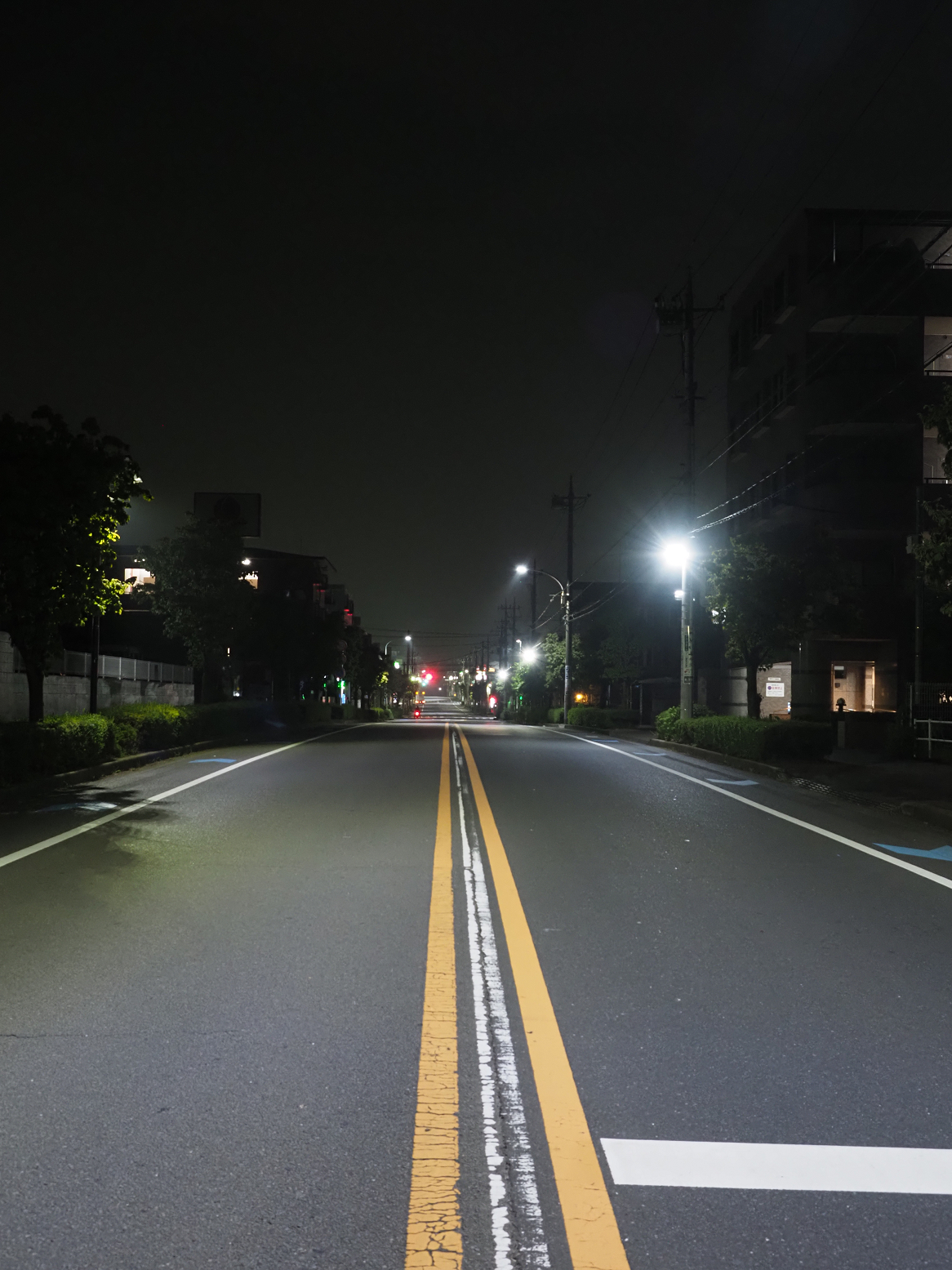 P8100294.jpg