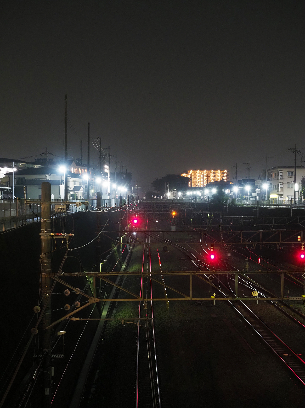 P8100355.jpg