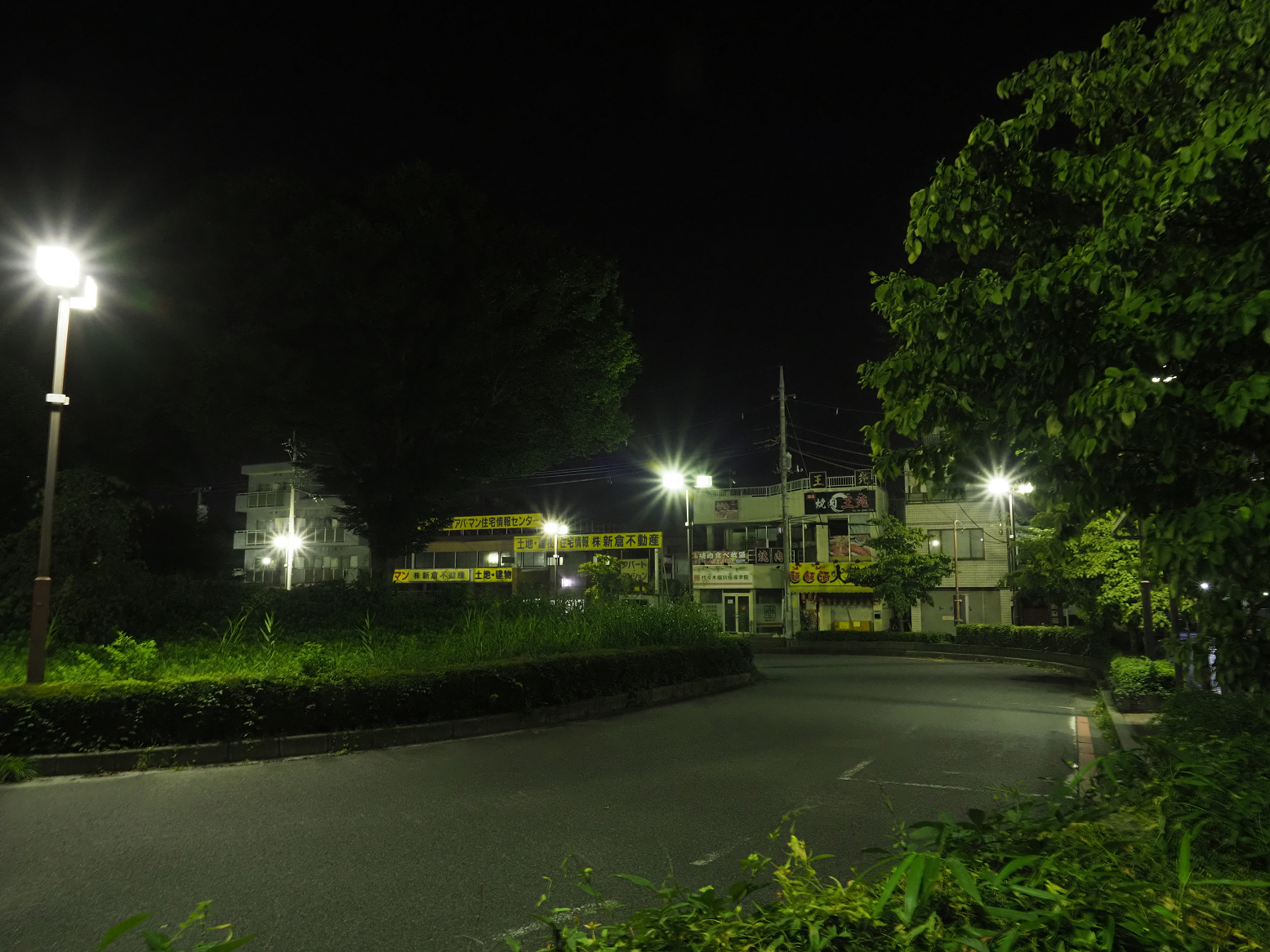 P8100396.jpg