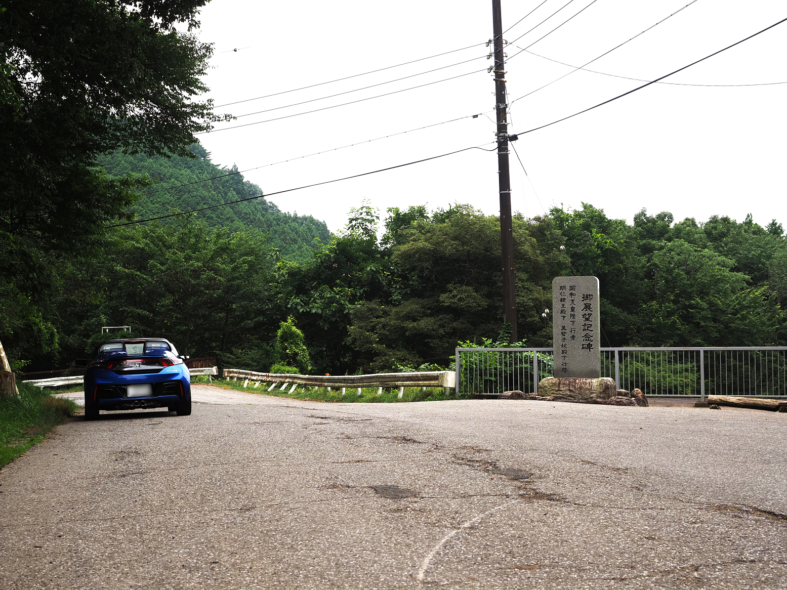 P8100431.jpg