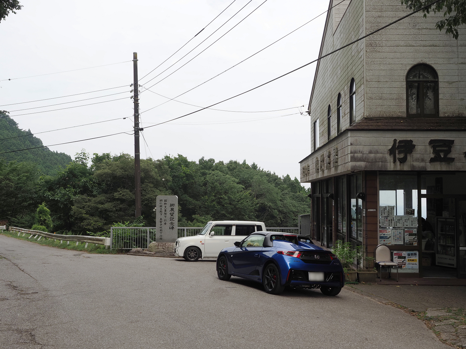 P8100447.jpg