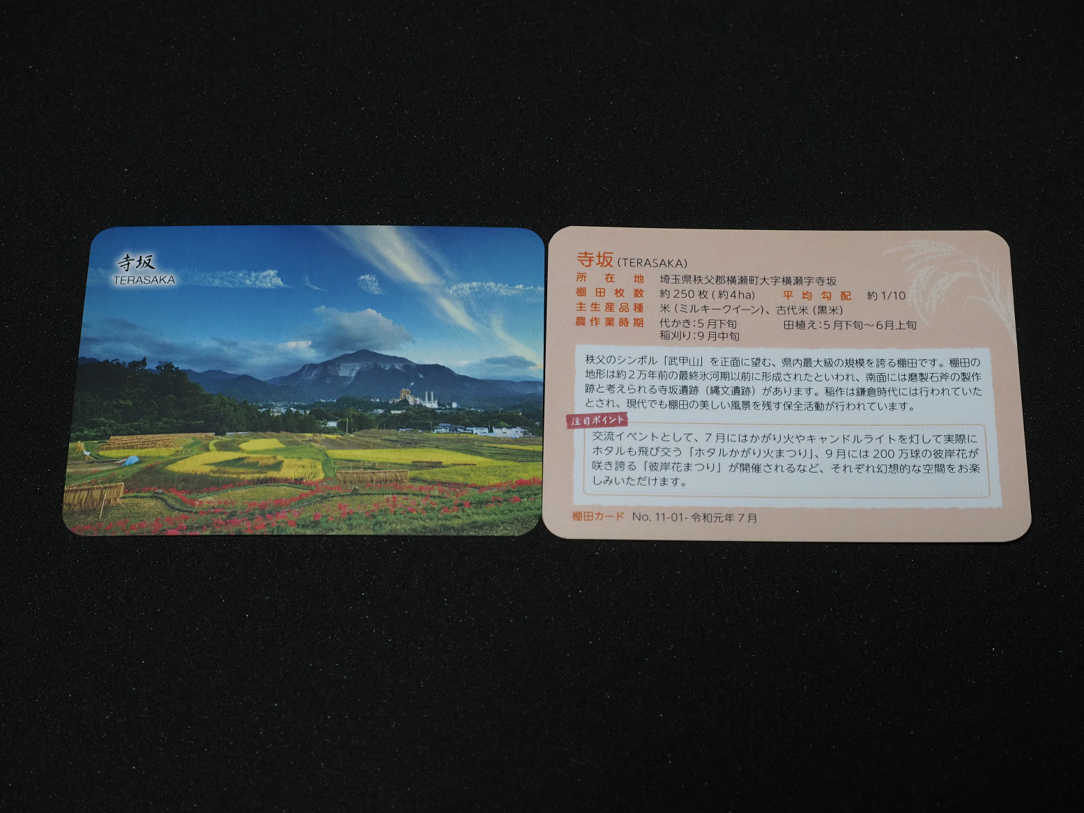 P8100464.jpg
