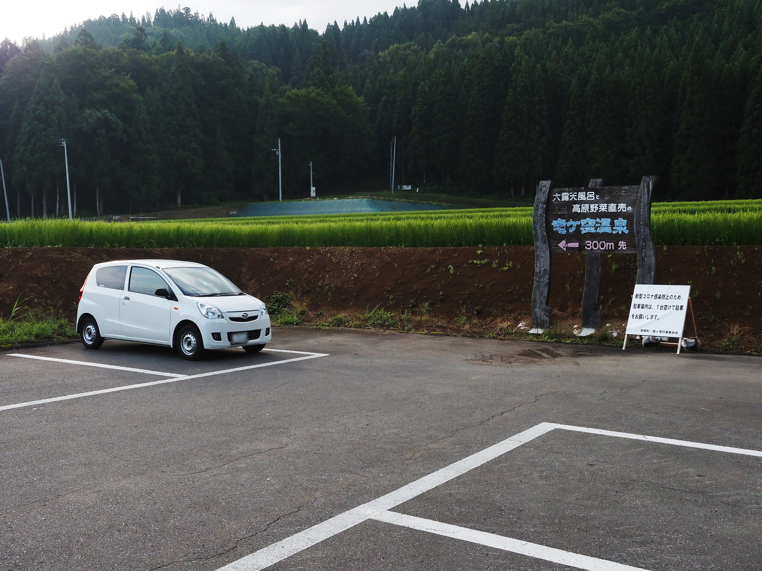 P8150009.jpg