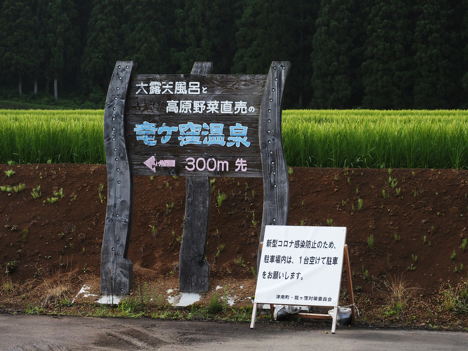P8150010.jpg