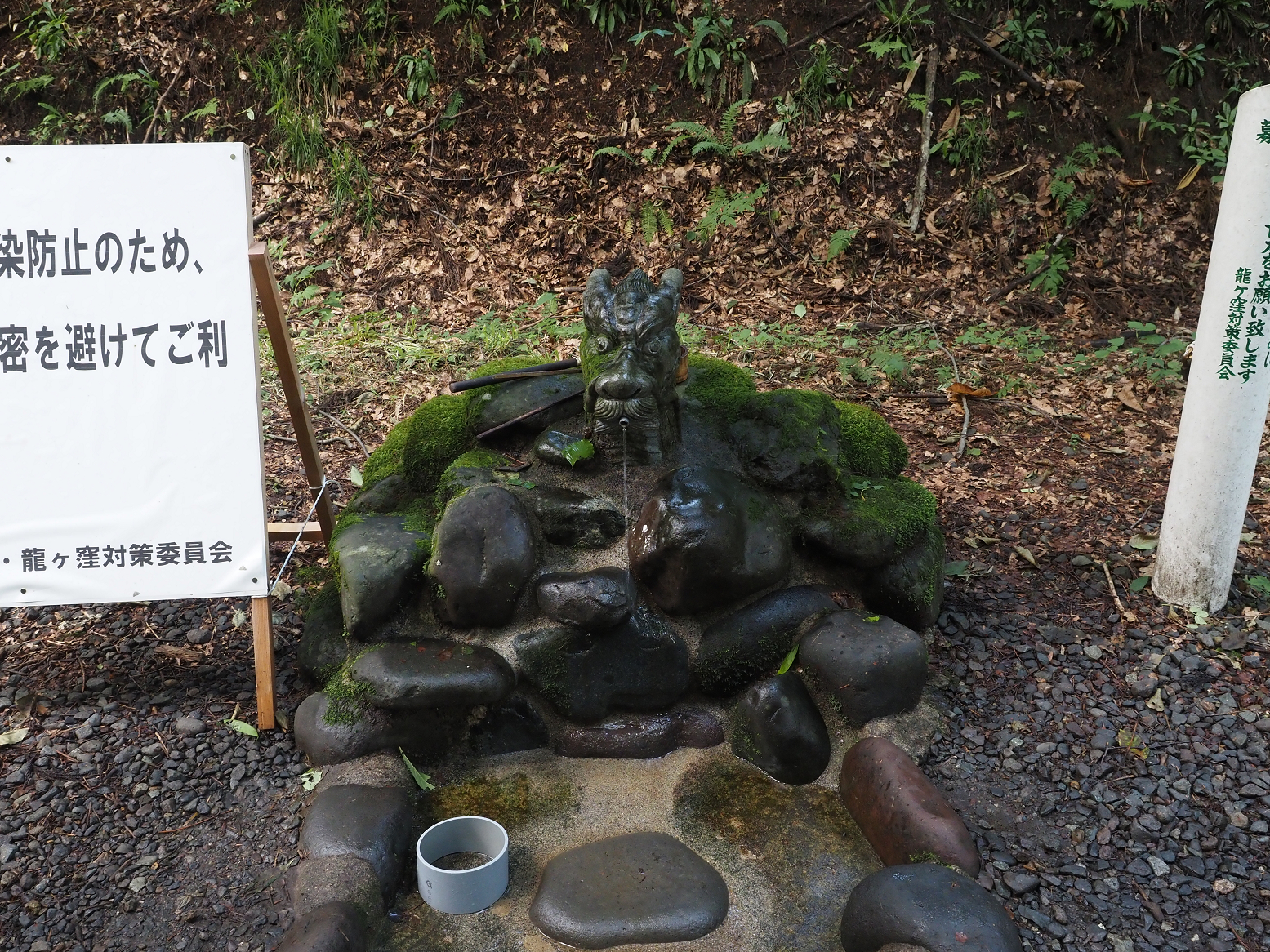 P8150021.jpg