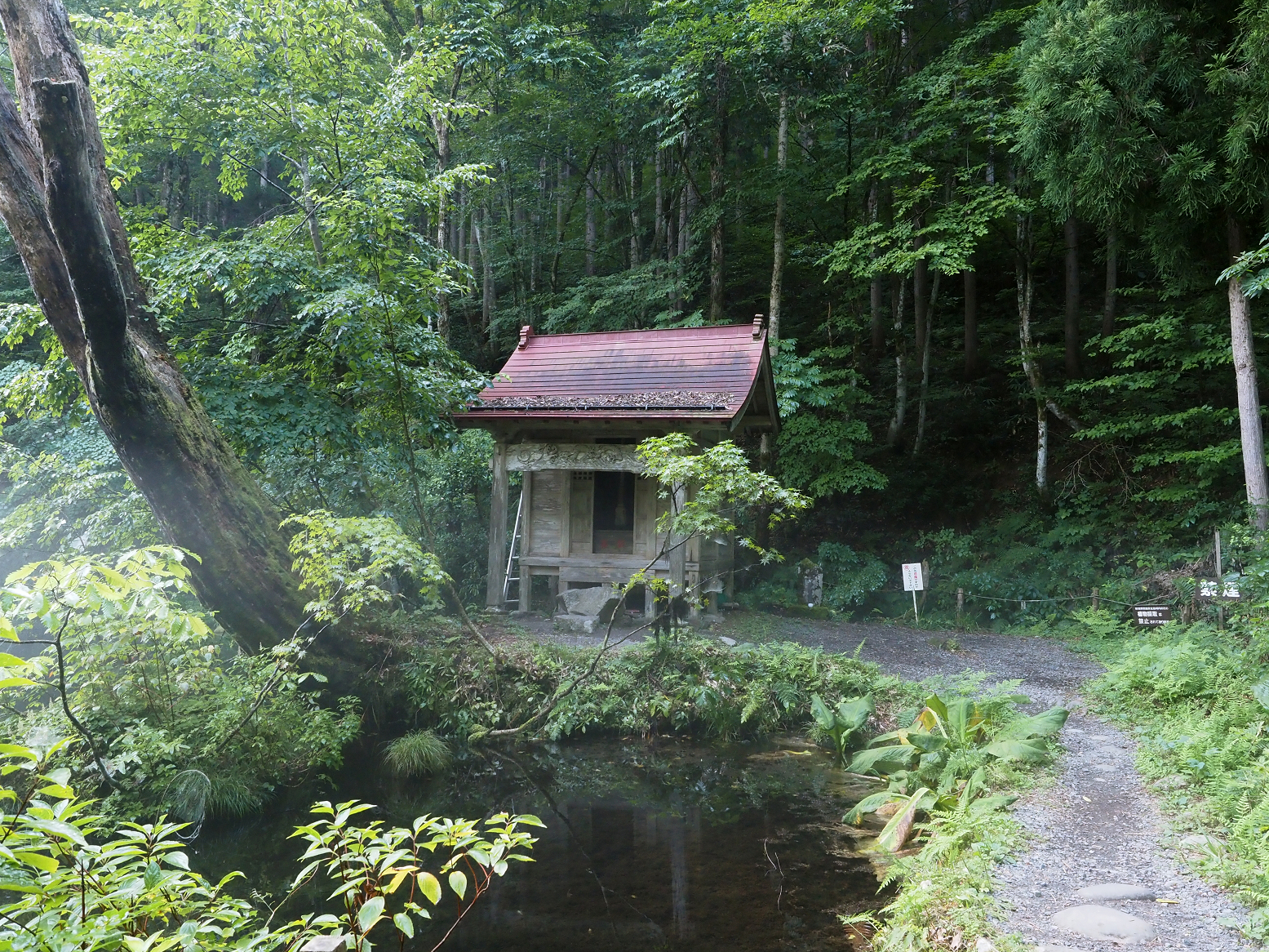 P8150062.jpg