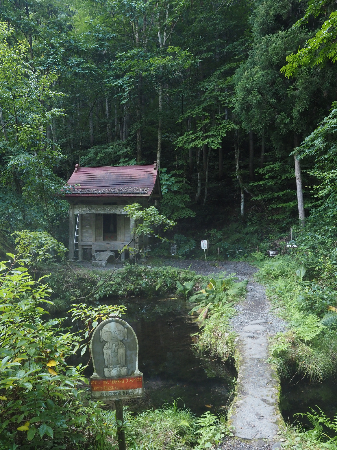P8150086.jpg