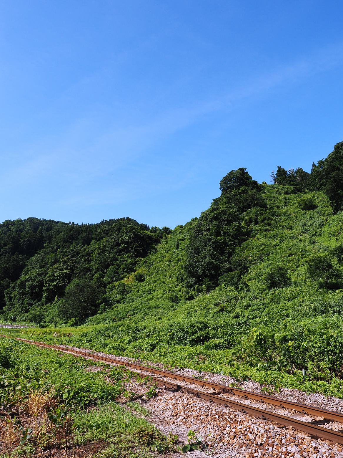 P8150157.jpg