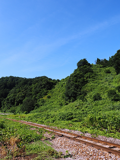 P8150157_thumb.png