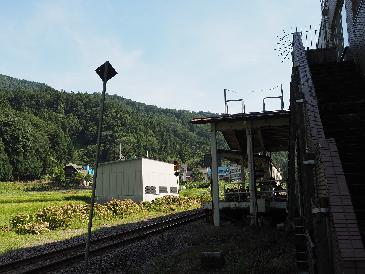 P8150158.jpg