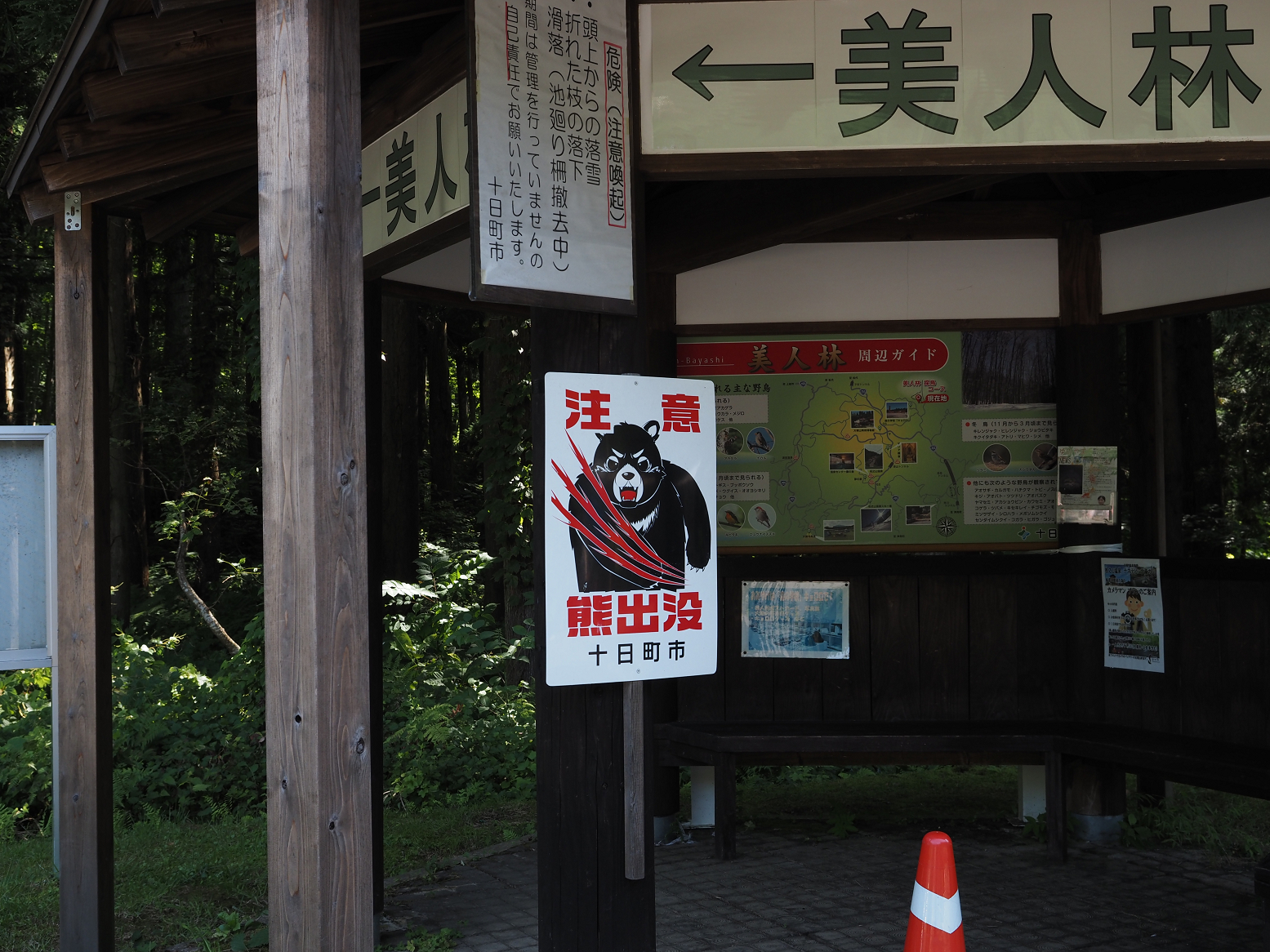 P8150161.jpg
