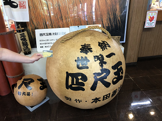 P8150254-17_thumb.png