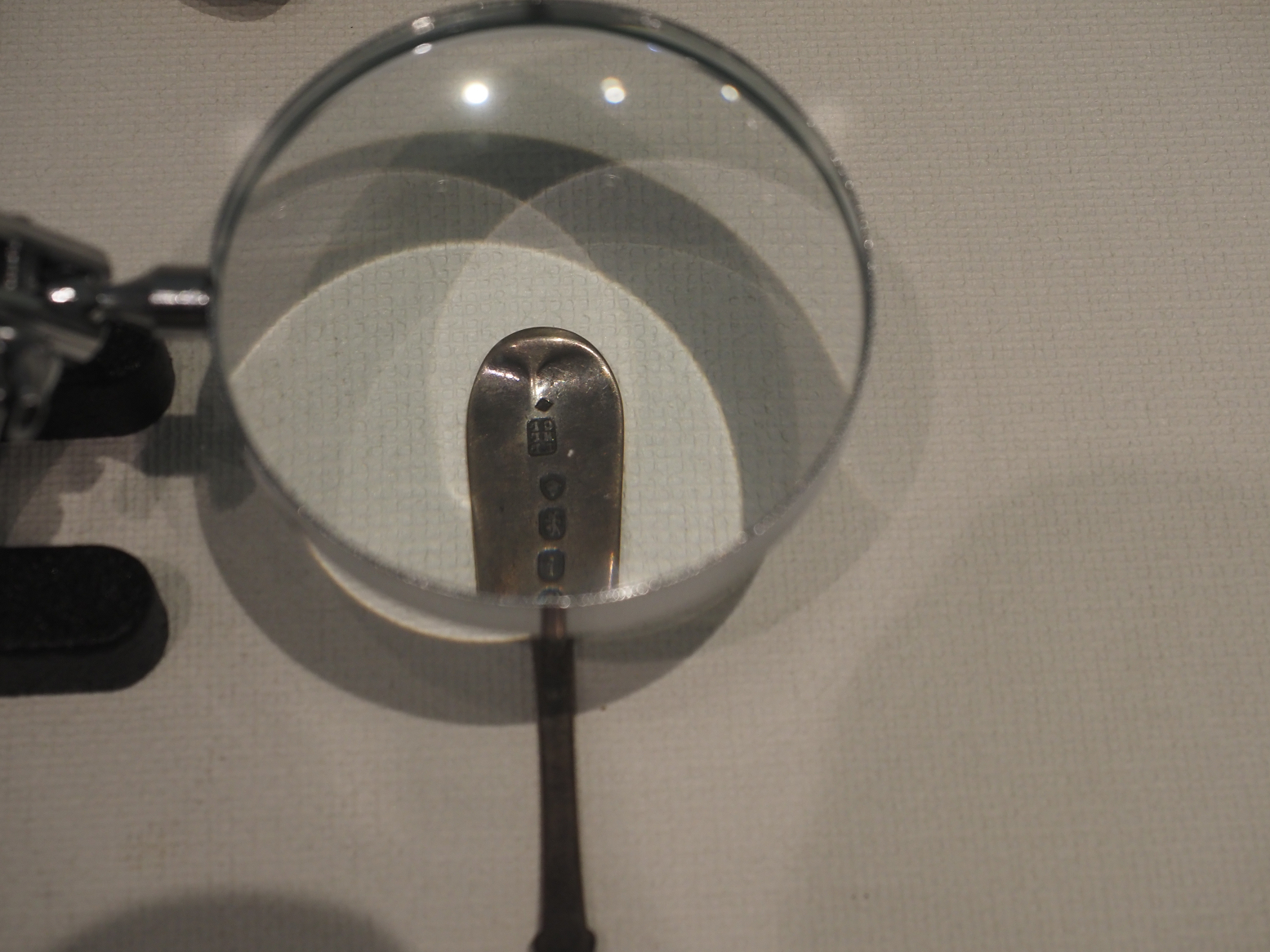 P8150303.jpg