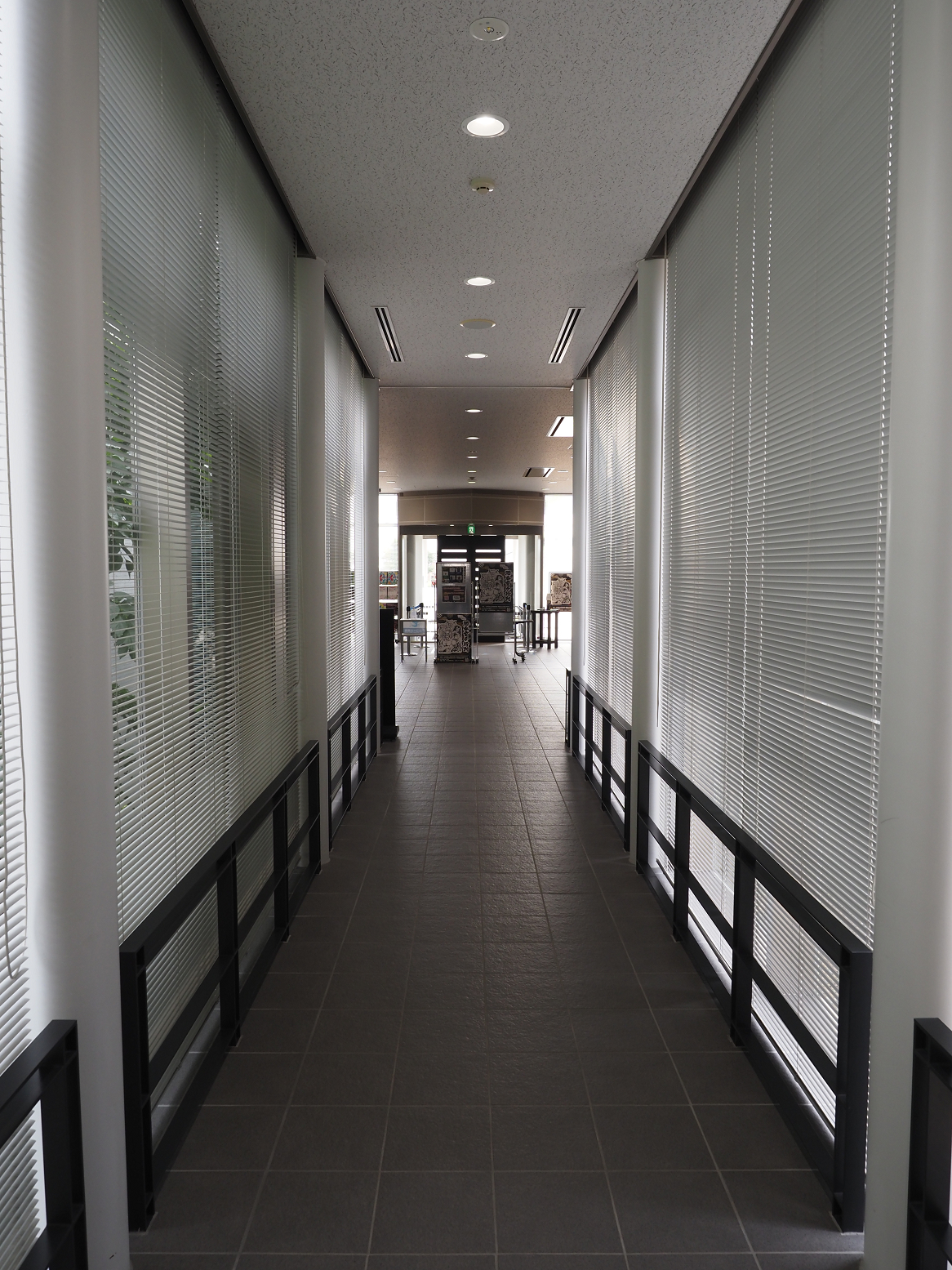 P8150343.jpg