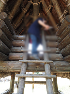 P8220588_thumb.png