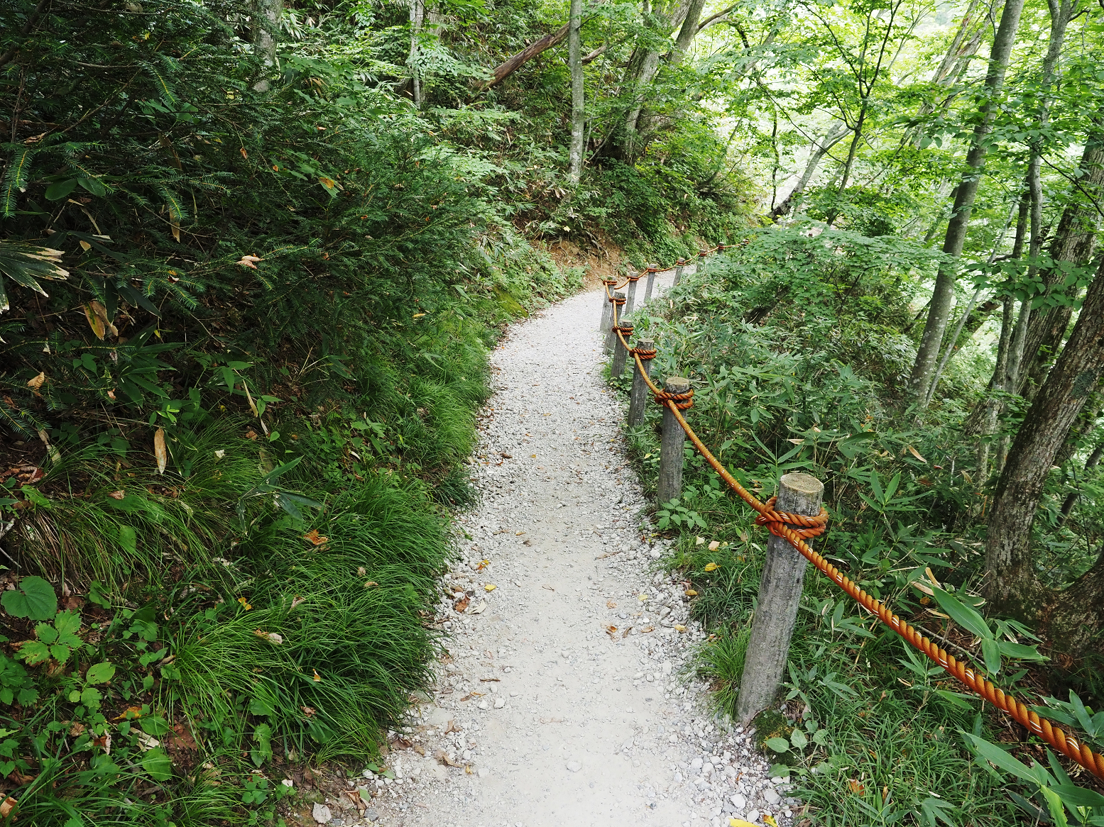 P8220611.jpg