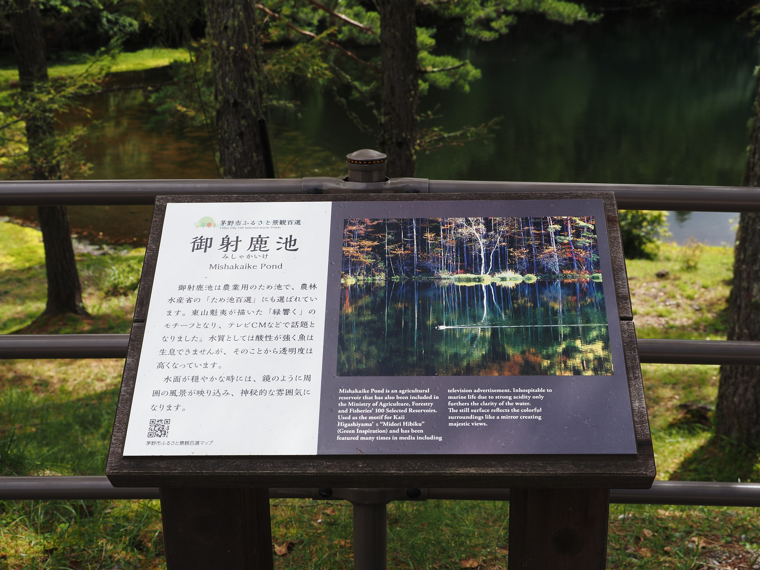 P9110012.jpg
