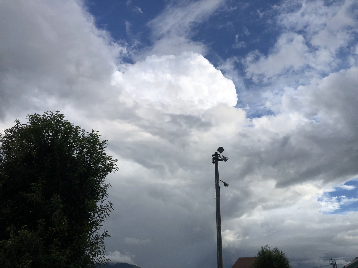 P9110122-03.jpg