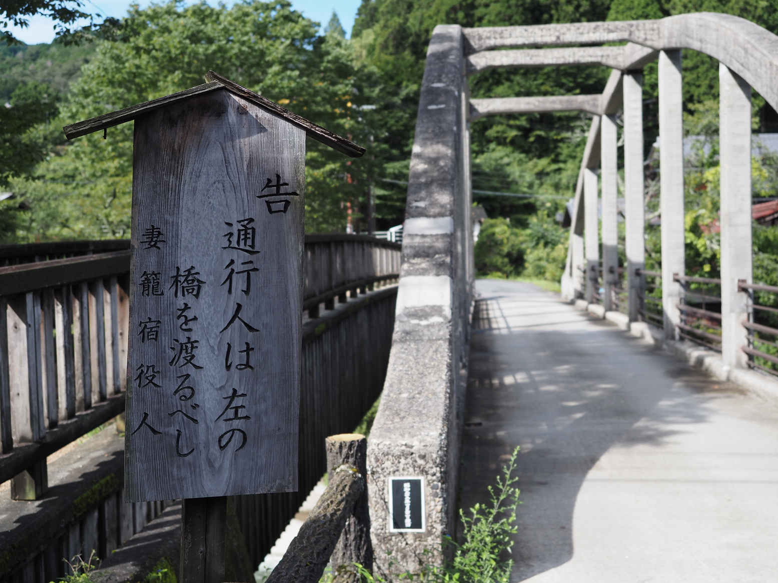 P9120244.jpg