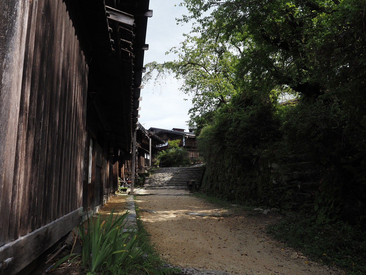P9120290.jpg