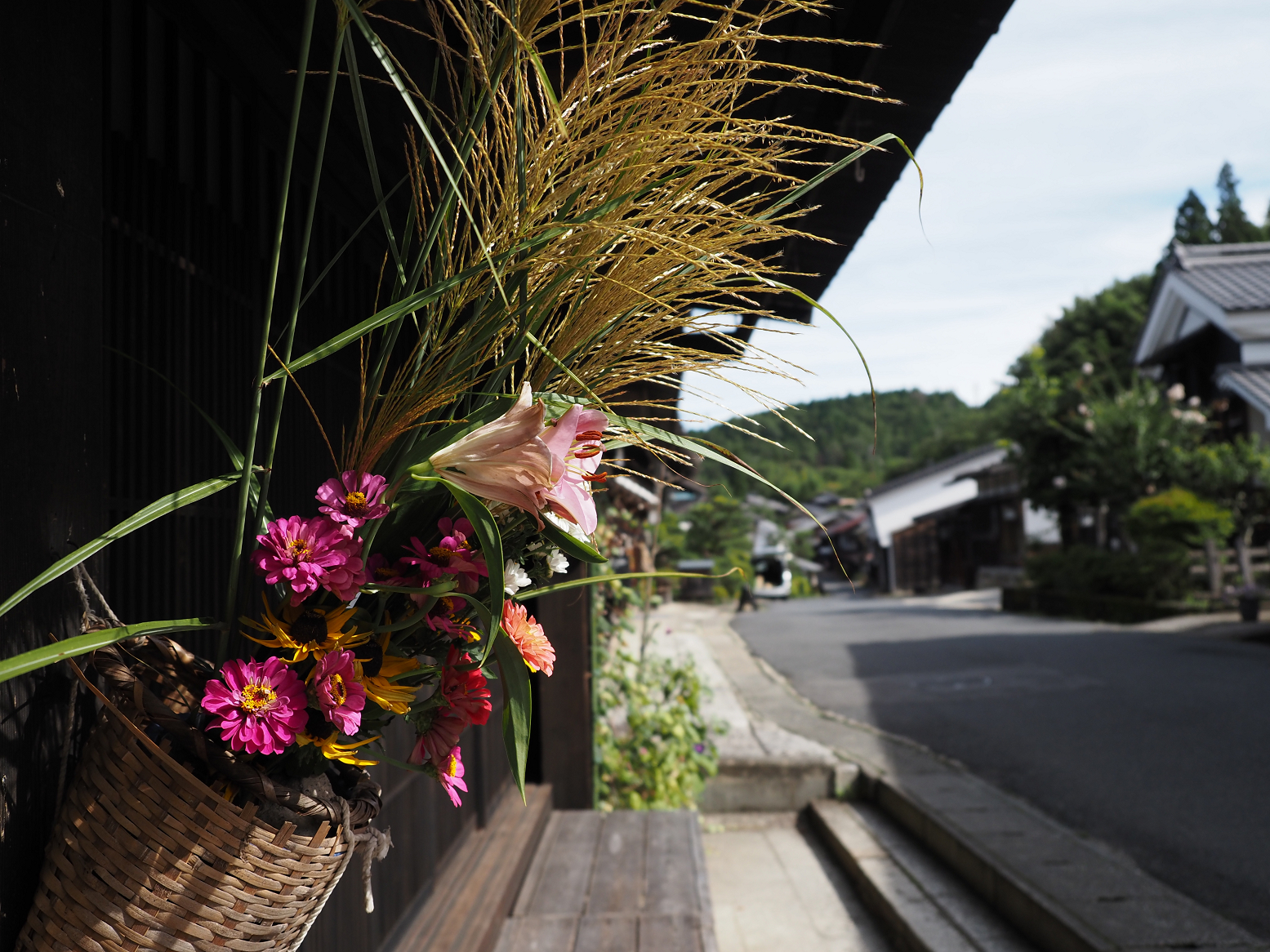P9120317.jpg