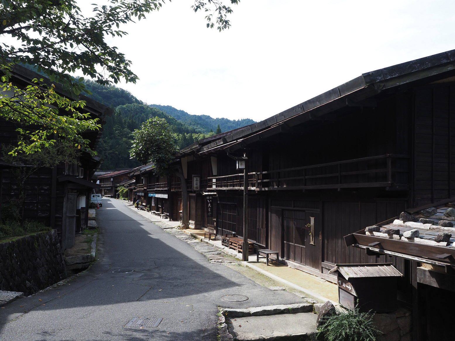 P9120330.jpg