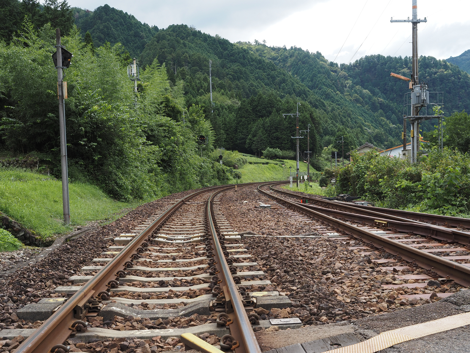 P9120413.jpg
