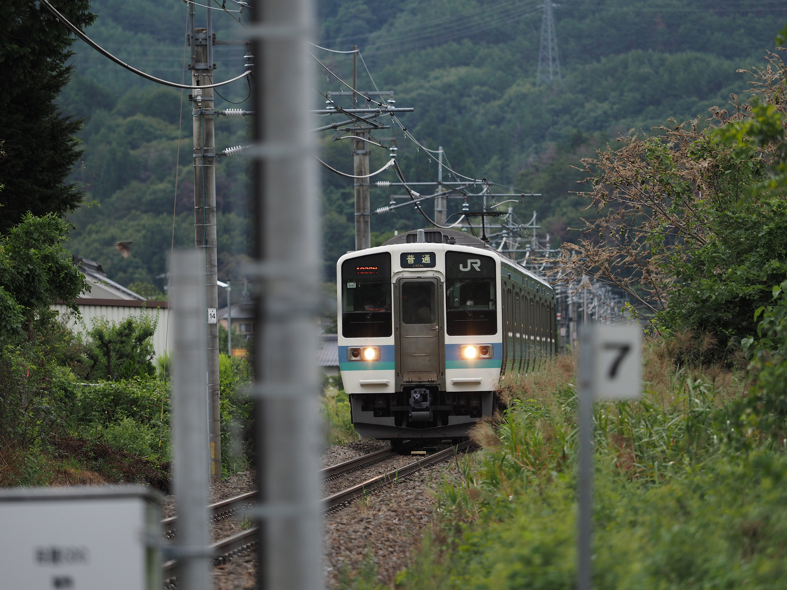 P9130532.jpg