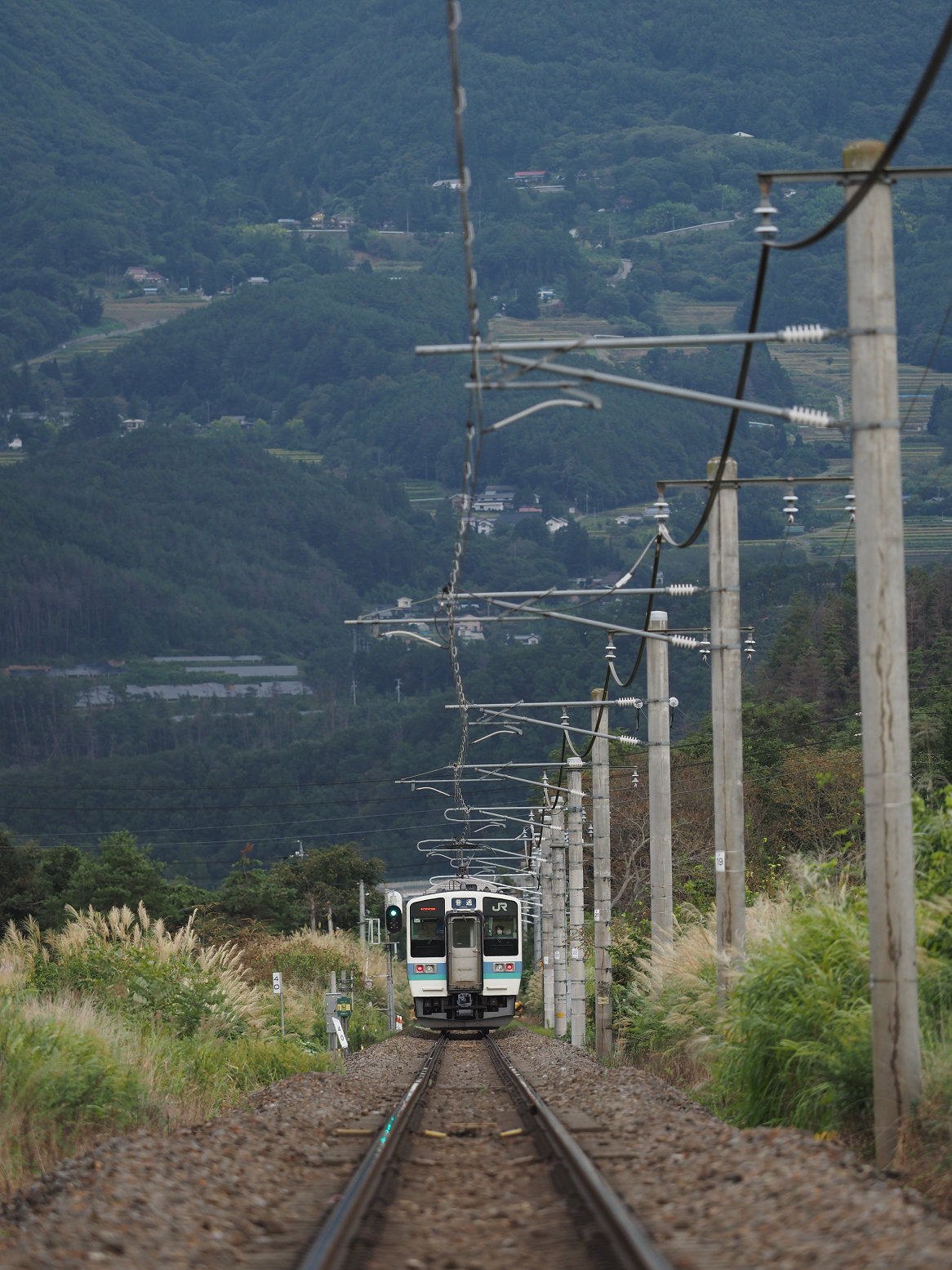 P9130546.jpg