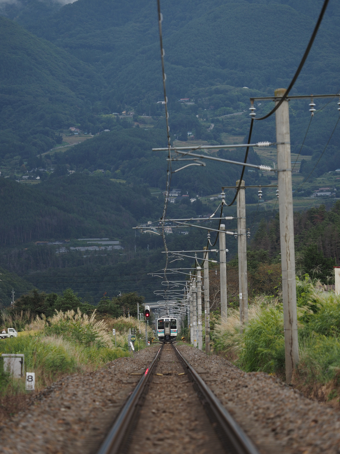 P9130572.jpg