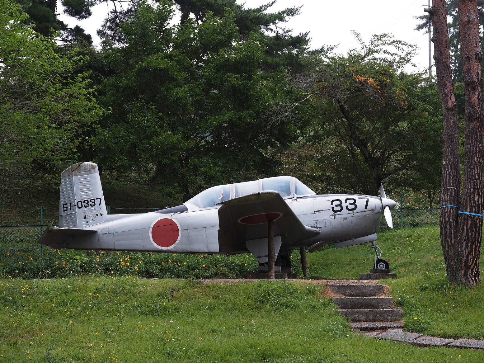 P9130695.jpg