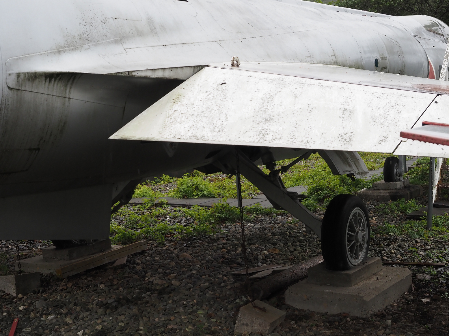P9130761.jpg