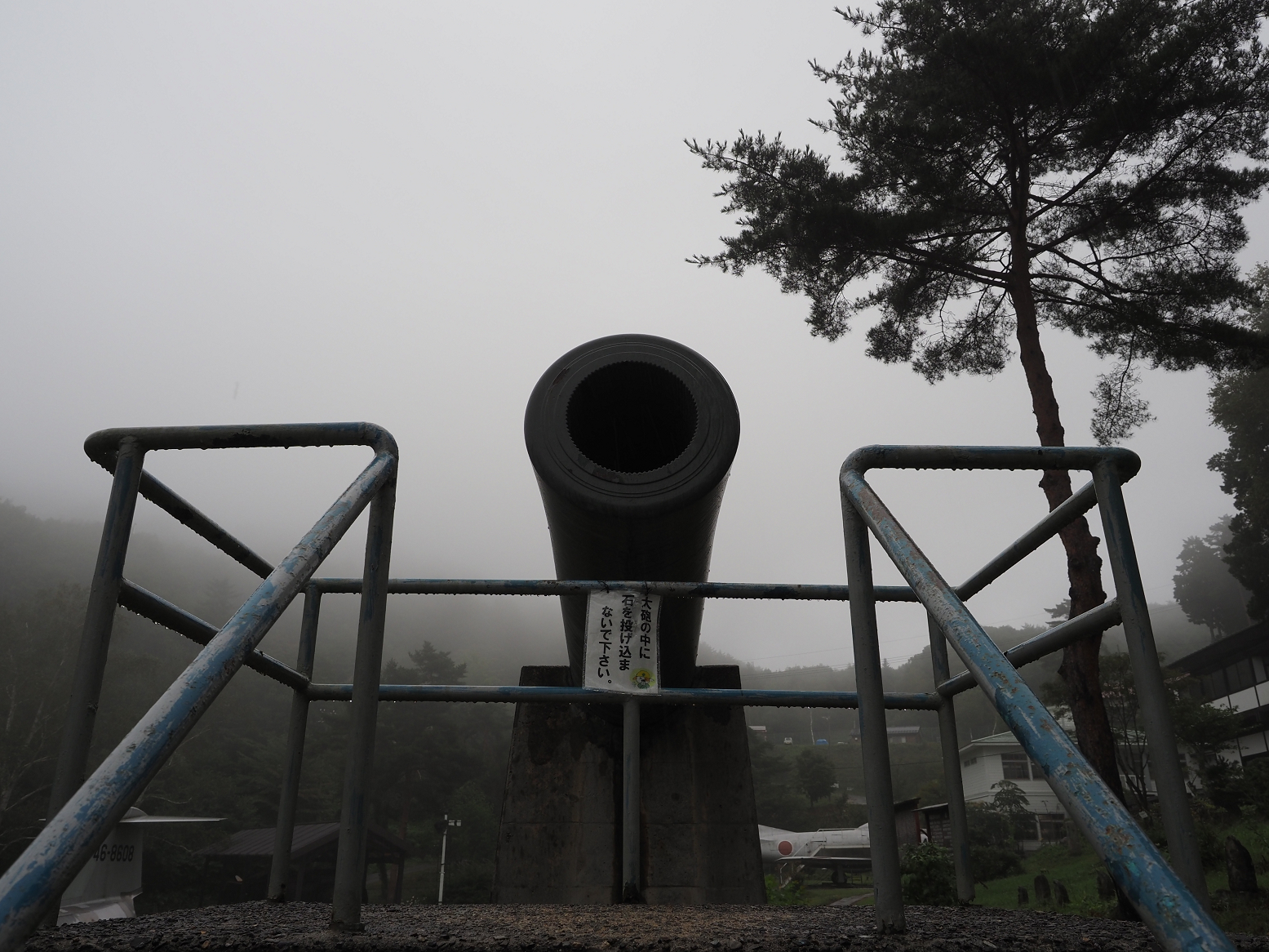 P9130773.jpg