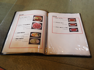 P9130960_thumb.png