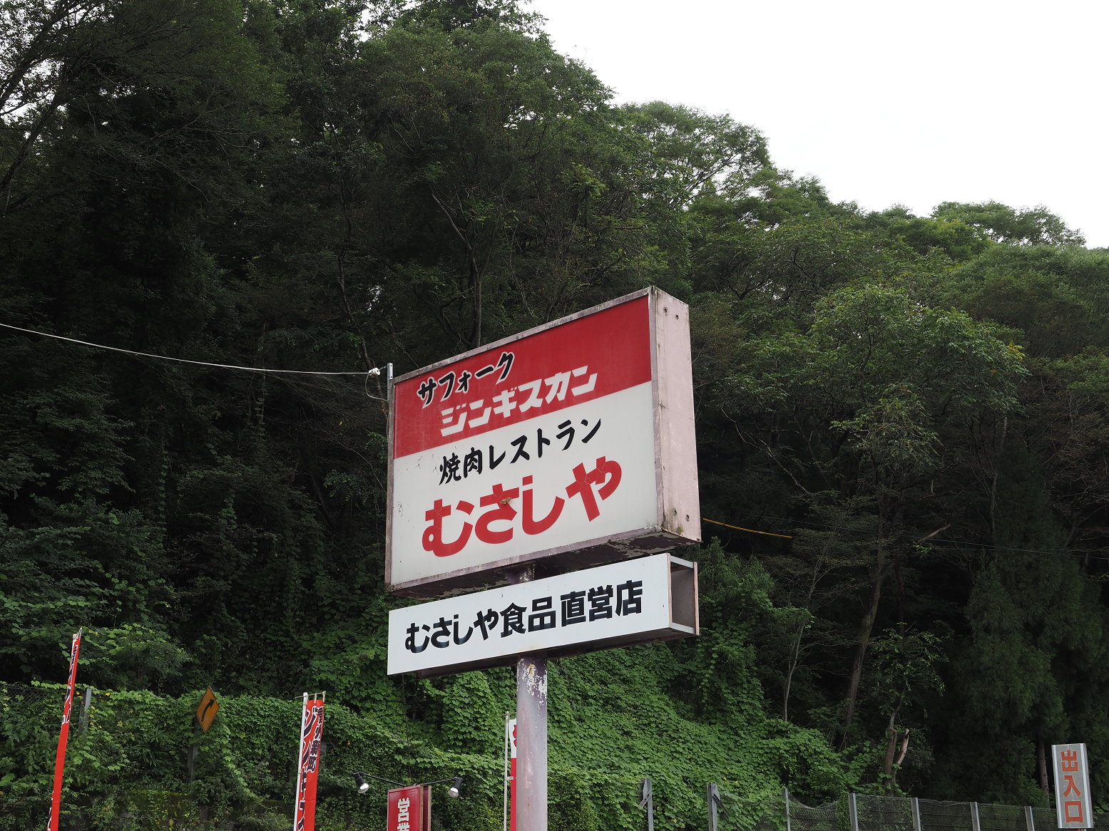 P9130964.jpg
