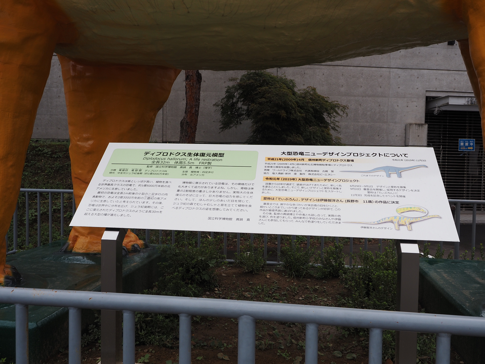 P9130966.jpg