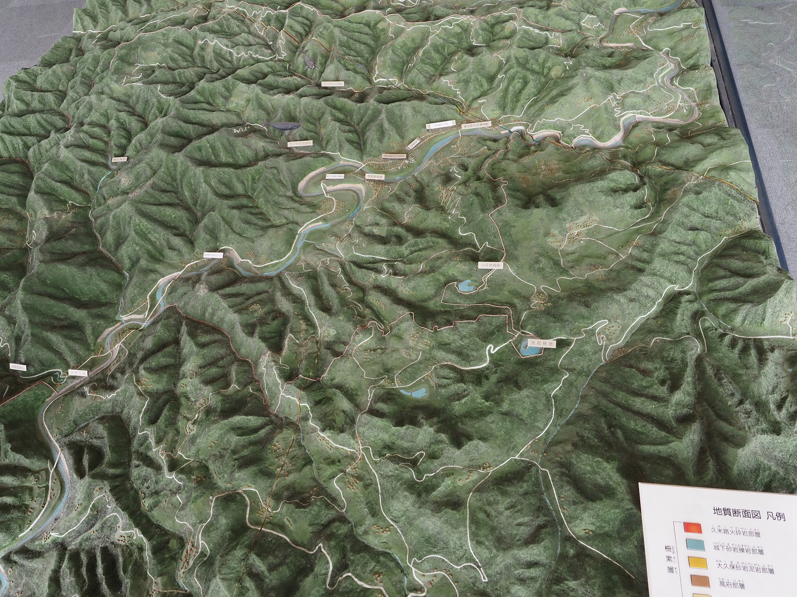 P9130981.jpg