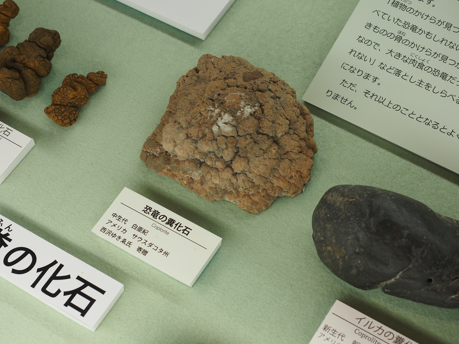 P9131015.jpg