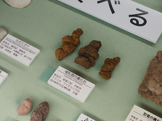 P9131016_thumb.png