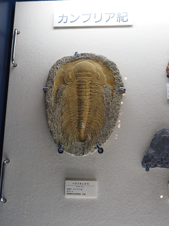 P9131017_thumb.png