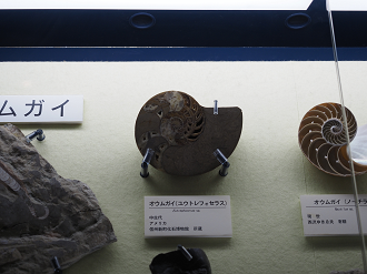 P9131018_thumb.png