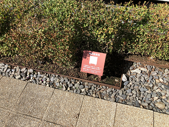 P9131077-11_thumb.png